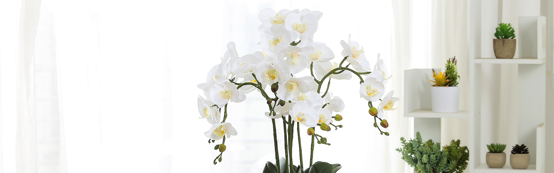 sztuczne rośliny, sztuczne sukulety, sztuczny kwiat,Huizhou Baifeng Arts&Crafts Co.,Ltd.