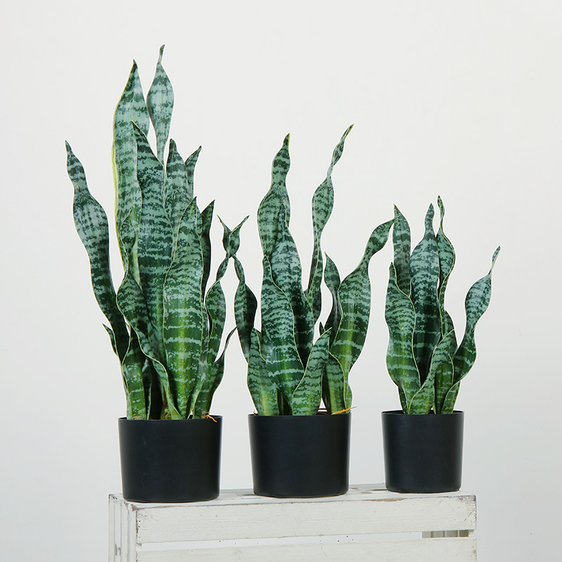 Gorąca sprzedaż Green Indoor Home Plastikowe Sztuczne rośliny Dekoracyjne do salonu